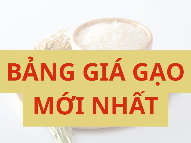 BẢNG GIÁ GẠO THAM KHẢO MỚI NHẤT