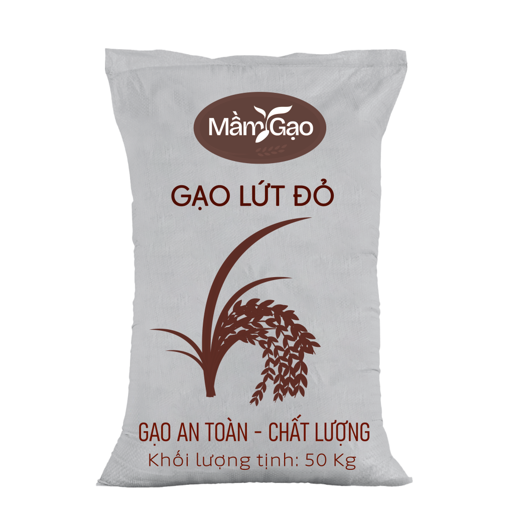 Sản phẩm chính
