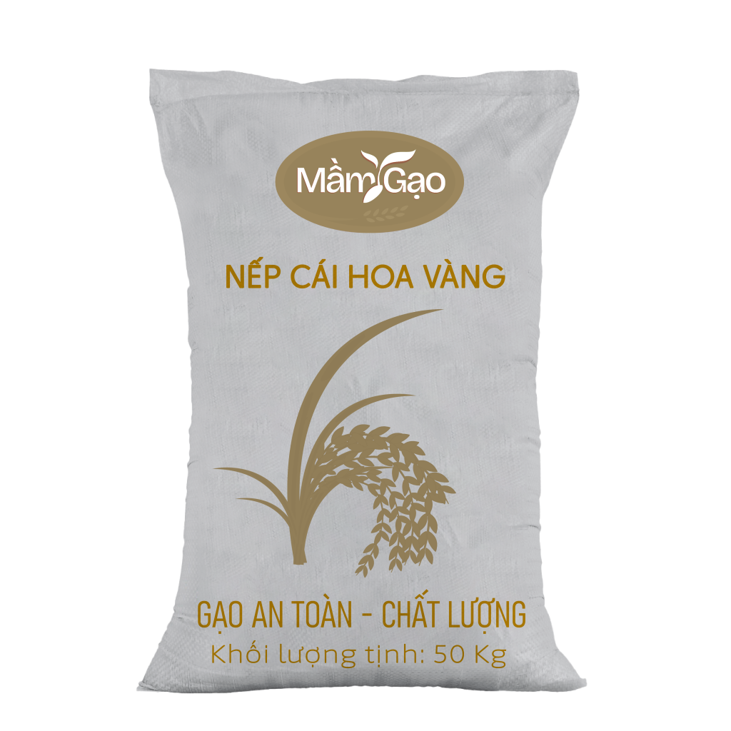 Sản phẩm chính