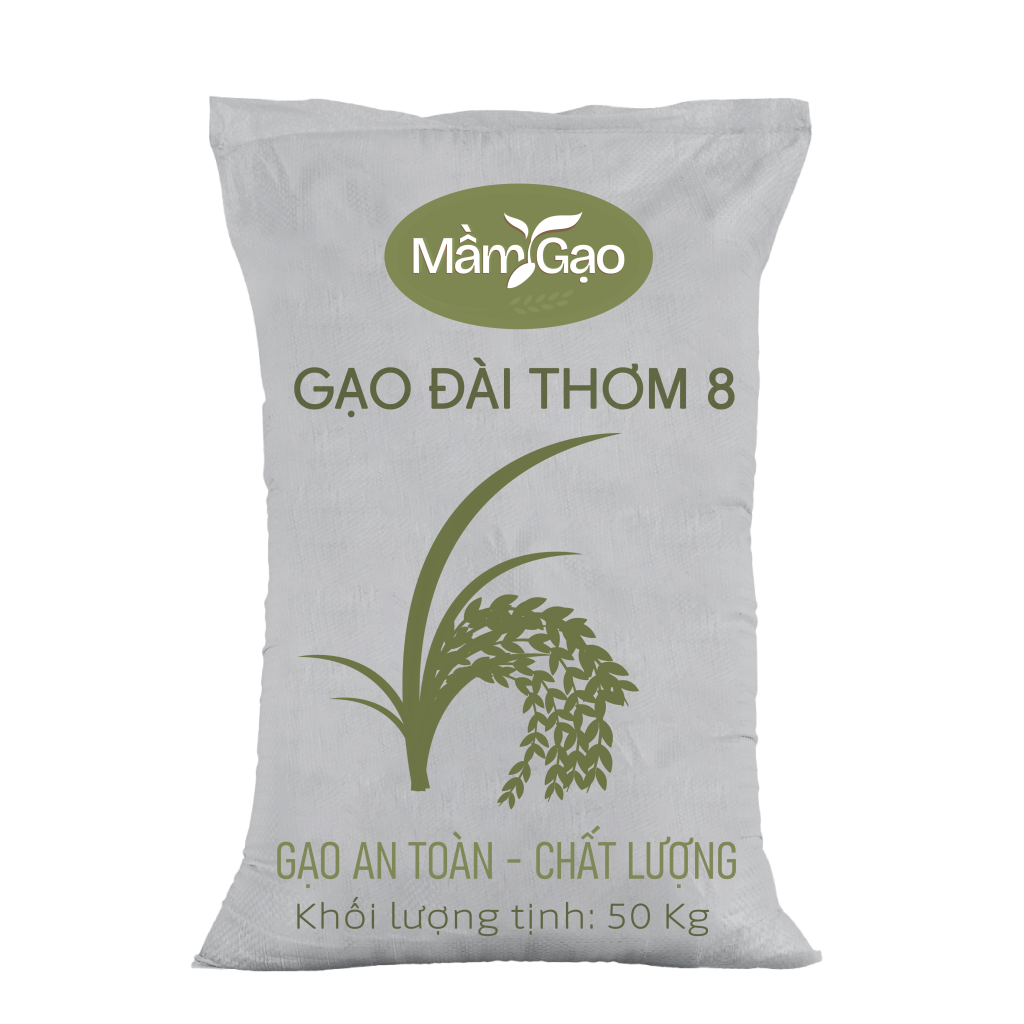 Sản phẩm chính